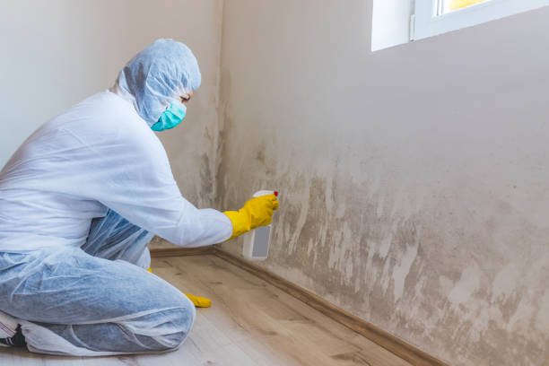 Licensed Mold Remediation service in Fords, NJ - 24 Hour Mold Removal