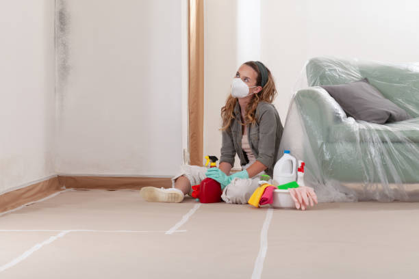 Reliable Mold Remediation contractor in Fords, NJ by 24 Hour Mold Removal